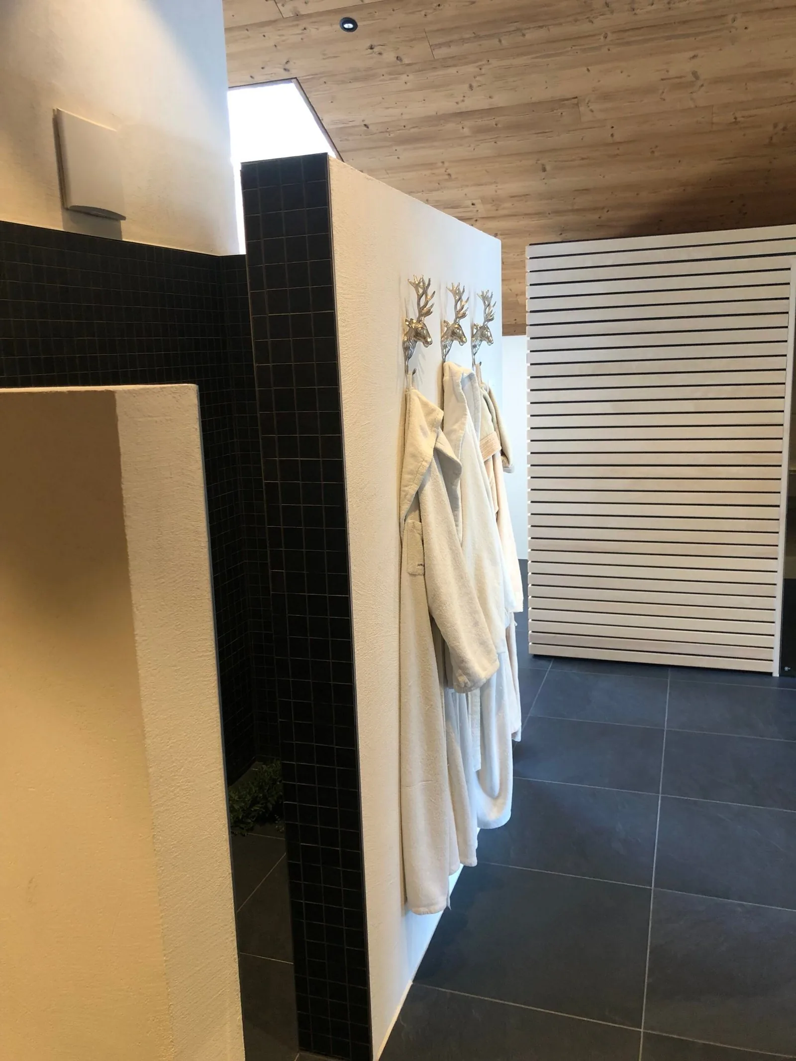 The Mountain Loft — Sauna